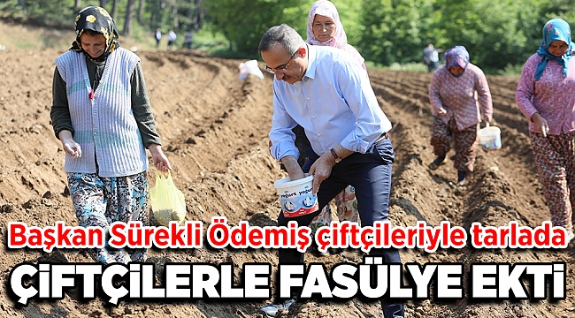 Başkan Sürekli Ödemiş çiftçileriyle tarlada