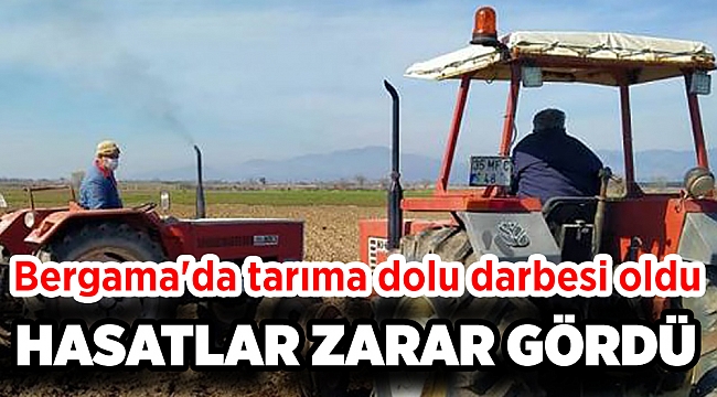 Bergama'da tarıma dolu darbesi