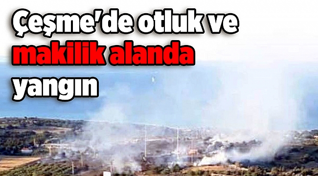 Çeşme'de otluk ve makilik alanda yangın