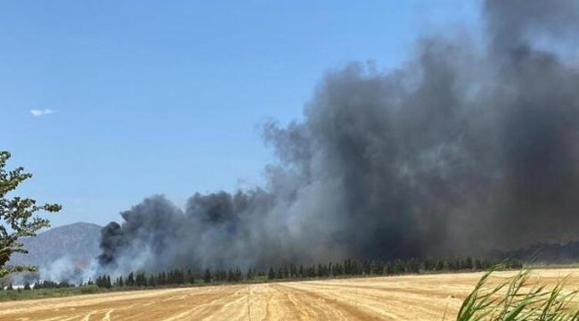 Dalaman'da kağıt fabrikasında yangın!