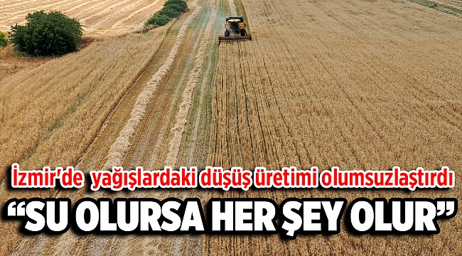 İzmir&#039;de bahar yağışlarındaki düşüş hububat üretimini olumsuz etkiledi