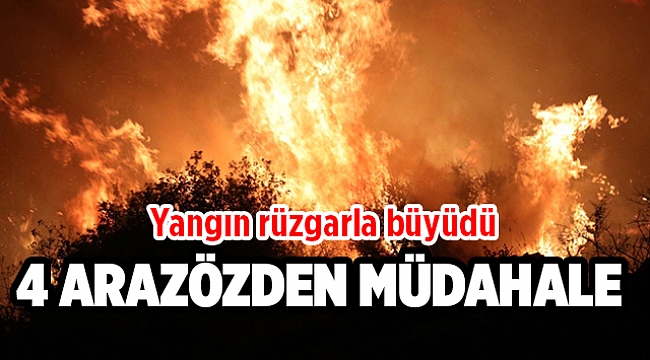 İzmir&#039;in Güzelbahçe ilçesindeki orman yangını kontrol altına alındı