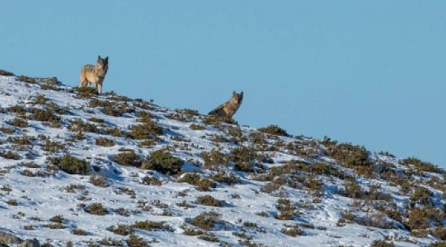 İzmirli gençler 12 ülkeden yaşıtlarıyla N.E.W.S. eTwinning Projesinde buluştu