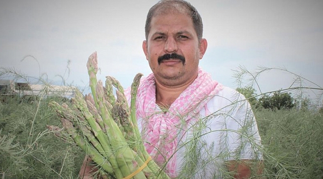 Kuşkonmazda ihracat pazarına dikkat çeken Ödemişli üreticiden "birlikte üretme" çağrısı