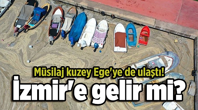 Müsilaj kuzey Ege'ye de ulaştı! İzmir'e ve Muğla'ya gider mi?