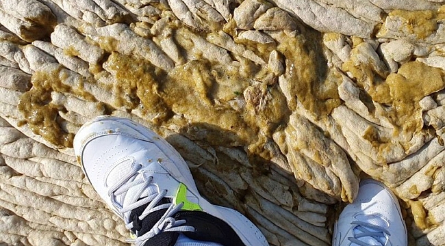 Müsilajın fotoğrafı! &#039;Bütün marina beton malzemeyle kaplı gibiydi&#039;