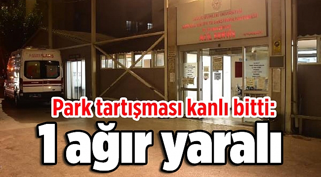 Park tartışması kanlı bitti: 1 ağır yaralı
