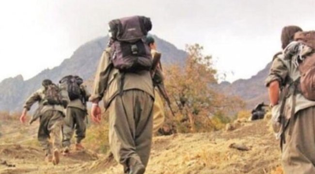 PKK'da çözülme sürüyor! 3 terörist daha teslim oldu
