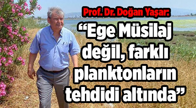 PROF. DR. YAŞAR: EGE MÜSİLAJ DEĞİL, FARKLI PLANKTON TÜRLERİNİN TEHDİDİ ALTINDA