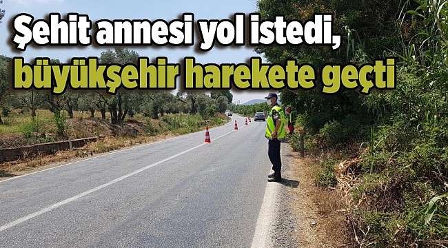 Şehit annesi yol istedi, büyükşehir harekete geçti