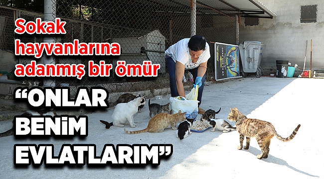 Sokak hayvanlarına adanmış bir ömür