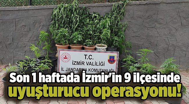 Son 1 haftada İzmir'in 9 ilçesinde uyuşturucu operasyonu!
