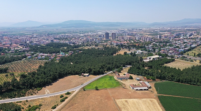 Torbalı’da ‘Temizlik Harekatı’ Belediye vatandaş ile el ele ormanları temizleyecek