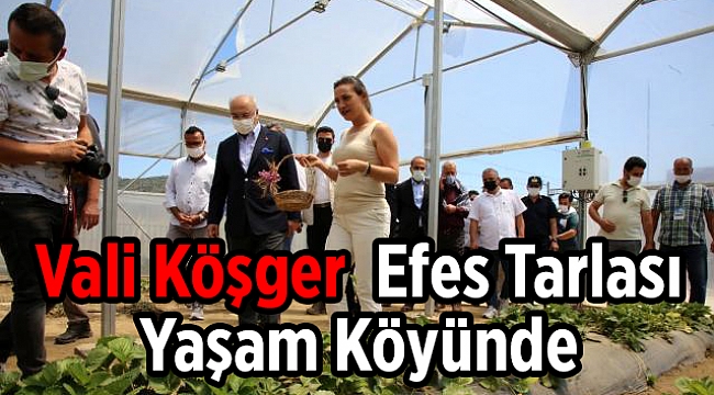 Vali Köşger Efes Tarlası Yaşam Köyünde