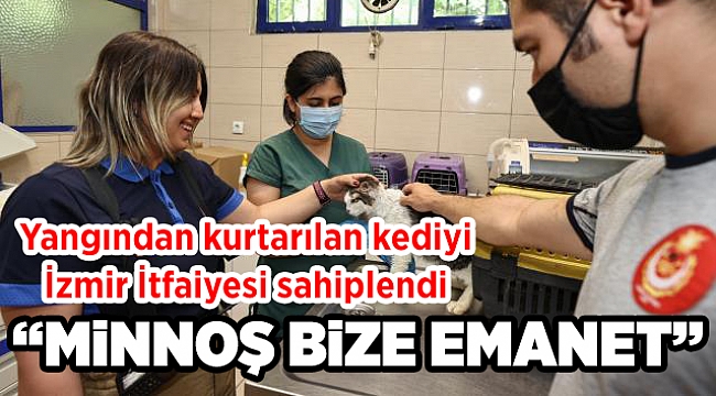 Yangında kurtarılan kediyi İzmir itfaiyesi sahiplendi