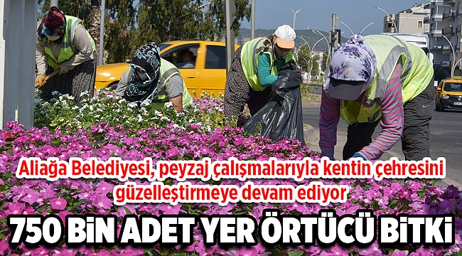 Aliağa Belediyesi, peyzaj çalışmalarıyla kentin çehresini güzelleştirmeye ve renklendirmeye devam ediyor.