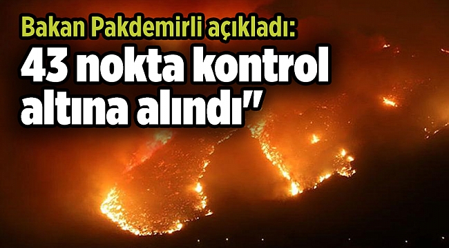 Bakan Pakdemirli açıkladı: "63 yangından 43’ü kontrol altına alındı"