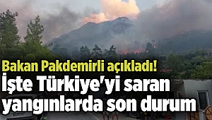 Bakan Pakdemirli açıkladı! İşte Türkiye'yi saran yangınlarda son durum