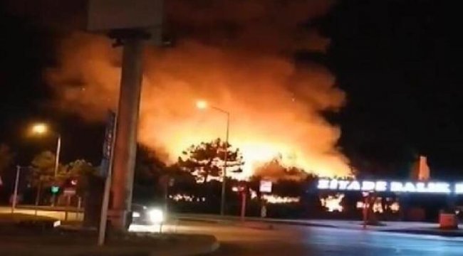 Balık restoranı kül oldu