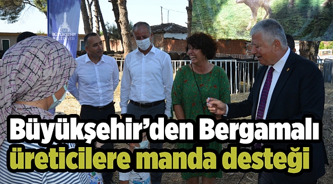 Büyükşehir’den Bergamalı üreticilere manda desteği