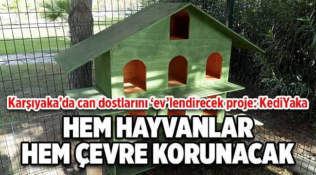 Can dostları ‘ev’lendirecek proje: KediYaka