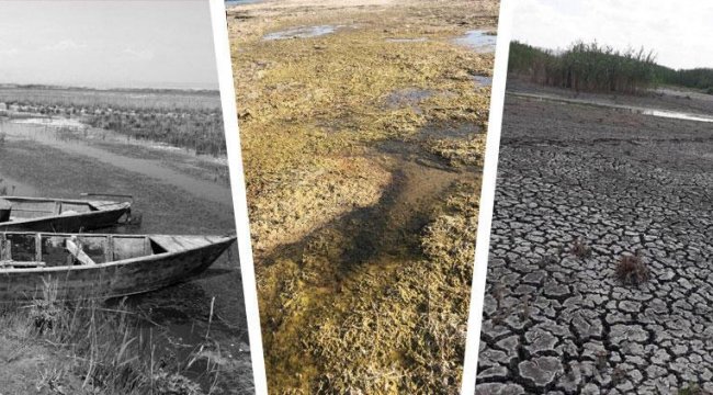 Eber Gölü'nde yürek burkan görüntü! Büyük pişmanlık: O da canlıymış, bilemedik