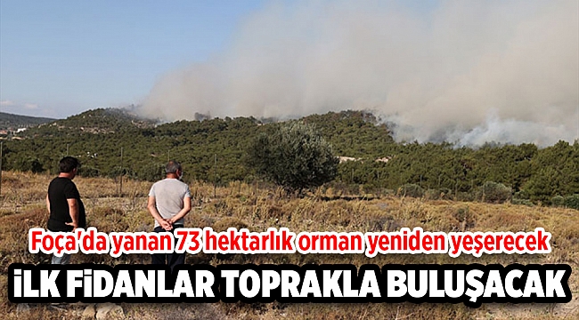 Foça'da yanan 73 hektarlık orman yeniden yeşerecek
