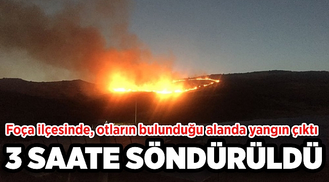 Foça'da yangın kabusu: 3 saatte söndürüldü!