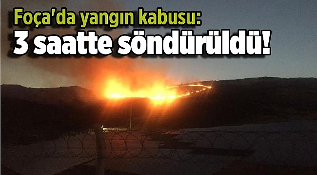 Foça'da yangın kabusu: 3 saatte söndürüldü!