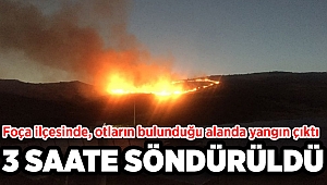 Foça'da yangın kabusu: 3 saatte söndürüldü!