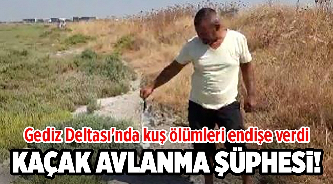 Gediz Deltası'nda kuş ölümleri endişe verdi