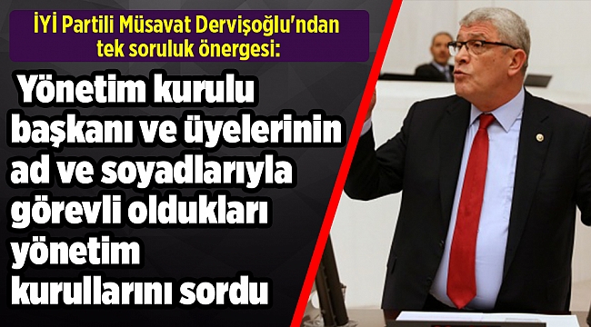 İYİ Partili Dervişoğlu'ndan tek soruluk önerge