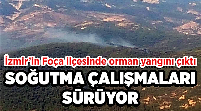 İzmir'de korkutan orman yangını!