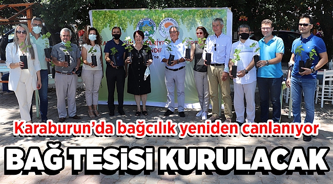 Karaburun’da bağcılık yeniden canlanıyor…