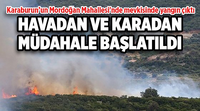 Karaburun'da korkutan orman yangını