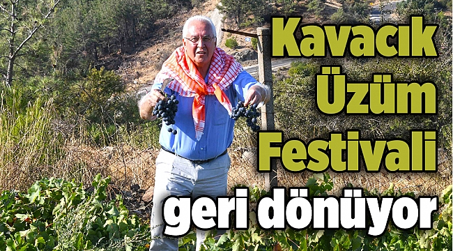 Kavacık Üzüm Festivali geri dönüyor