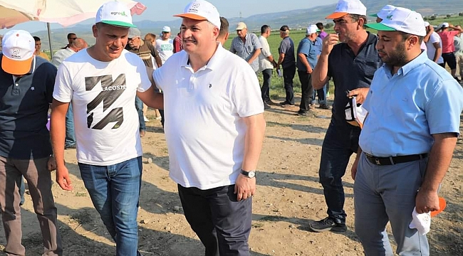 KINIK DOMATESİ MARKA OLUYOR