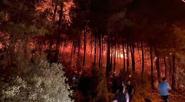 Kontrol altına alındı: Bir yangın da Ölüdeniz Mahallesi'nde