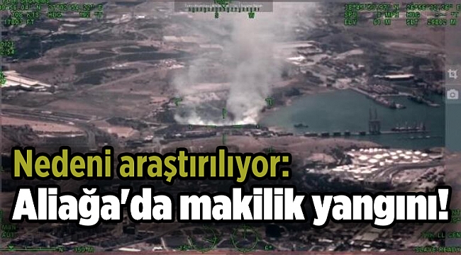 Nedeni araştırılıyor: Aliağa'da makilik yangını!