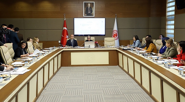 TBMM Kadına Yönelik Şiddeti Araştırma Komisyonu’nda tartışma