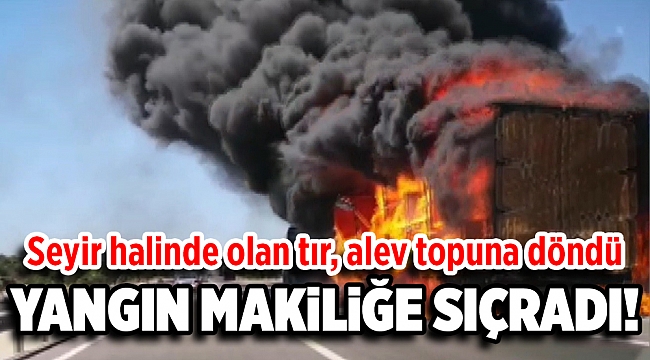 Tır alev topuna döndü: Yangın makilik alana sıçradı