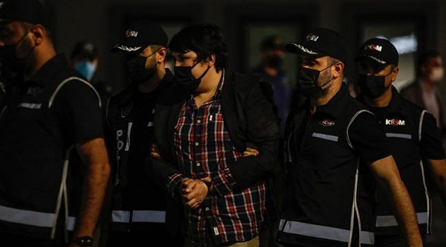 "Tosuncuk" Türkiye'ye getirildi