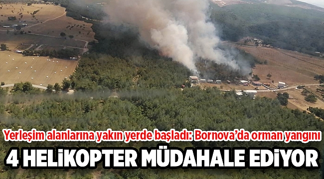Yerleşim alanlarına yakın yerde başladı: Bornova’da orman yangını