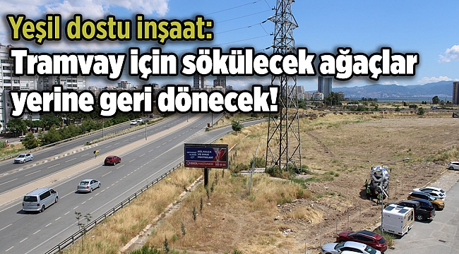 Yeşil dostu inşaat: Tramvay için sökülecek ağaçlar yerine geri dönecek!