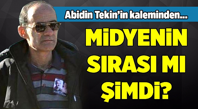 Abidin Tekin'in Kaleminden...
