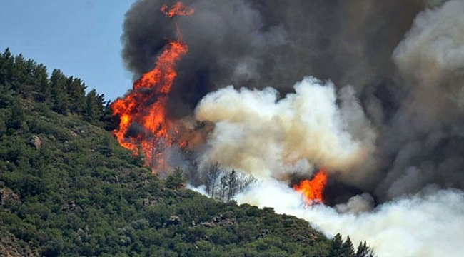 Antalya, Bodrum ve Marmaris'te yangınlar söndürüldü