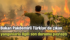 Bakan Pakdemirli Türkiye'de çıkan yangınlarla ilgili son durumu paylaştı