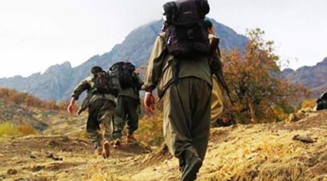 Bakanlık açıkladı! 1 terörist teslim oldu