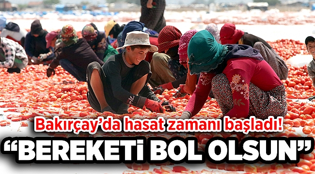 Bakırçay’da hasat zamanı:  “ Bereketi   bol olsun”
