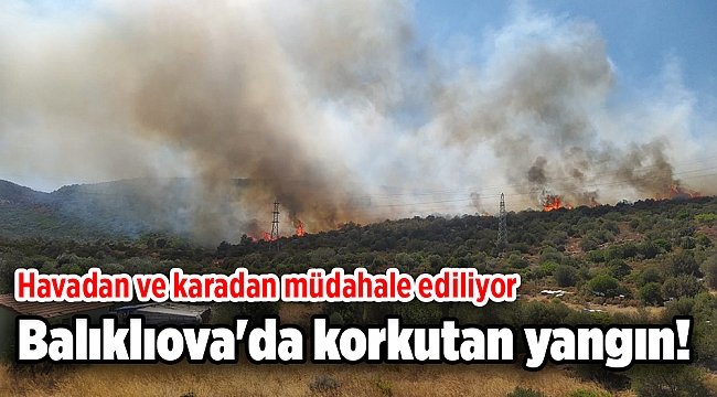 Balıklıova'da korkutan yangın: Havadan ve karadan müdahale ediliyor